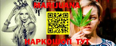 мдпв Новозыбков