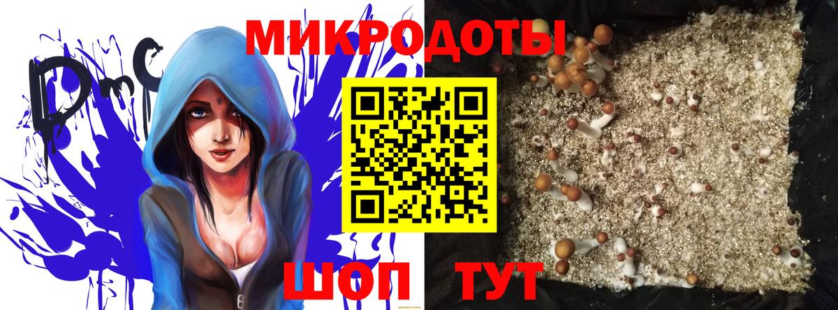 где найти   Псилоцибиновые грибы MAGIC MUSHROOMS  Вход с VPN  Рыбинск 